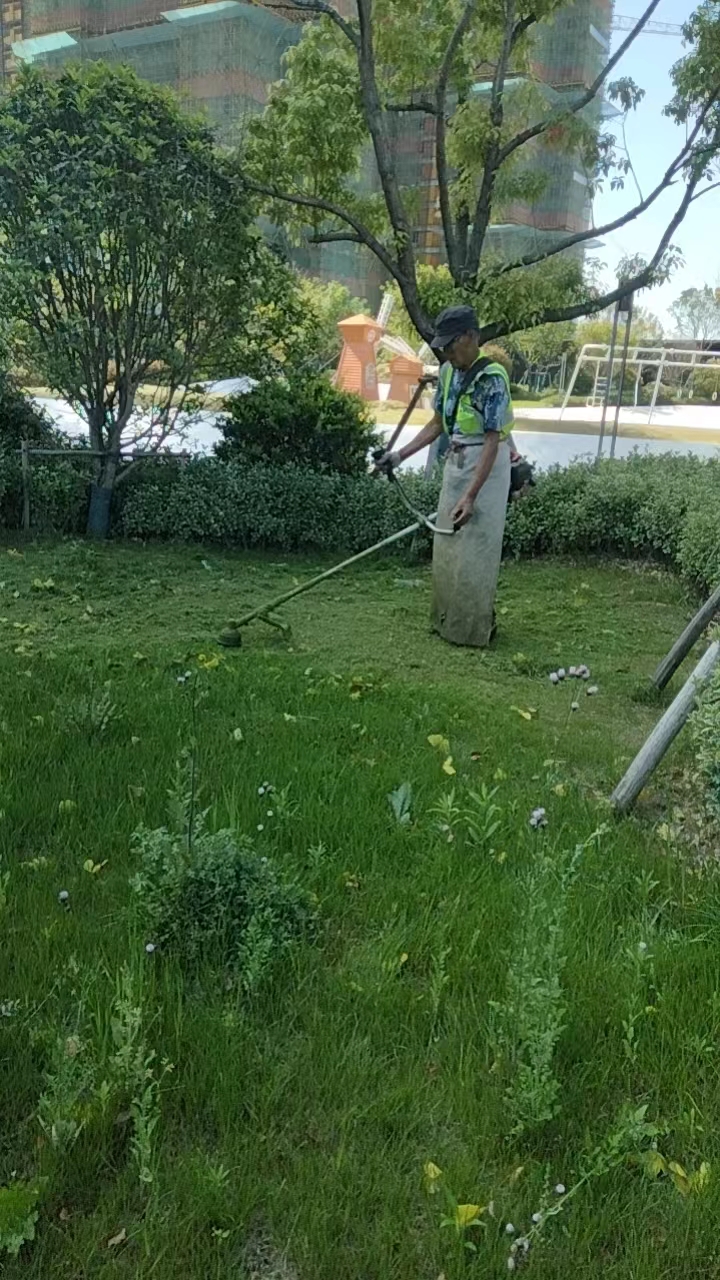 蕪湖碧桂園黃金時代綠化養(yǎng)護